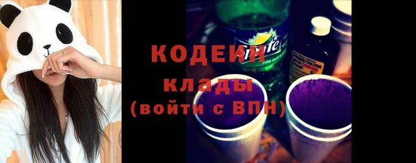 спиды Дмитриев