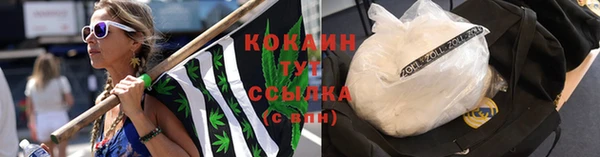 спиды Дмитриев