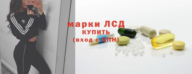 спиды Дмитриев
