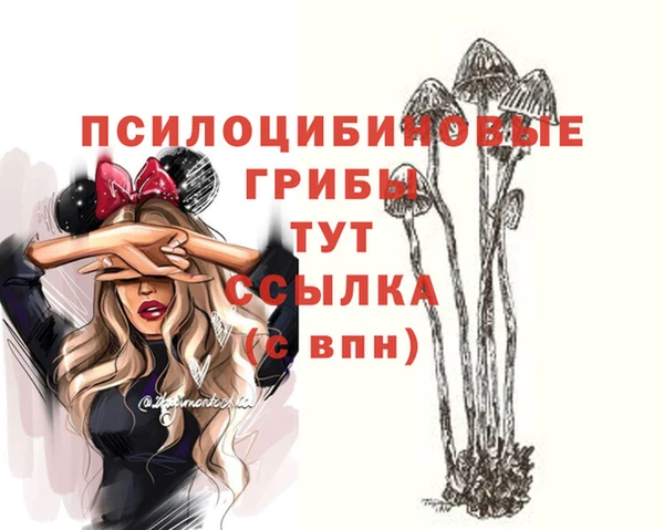 стафф Дмитровск