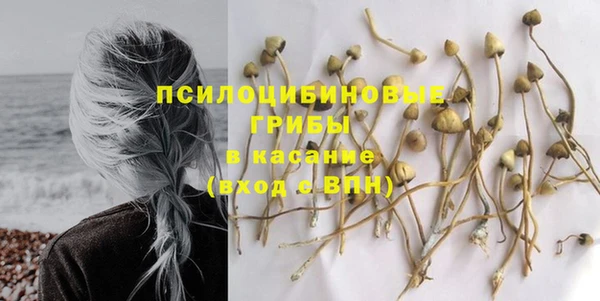 спиды Дмитриев